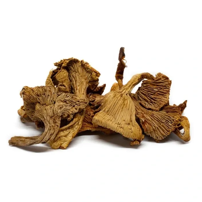 Chanterelles Girolles 1Kg