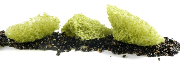 Lecitina De Soja 500 g