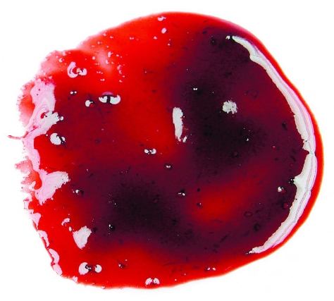 Pasta de Cereza Amarena (100 g-1,5 kg)